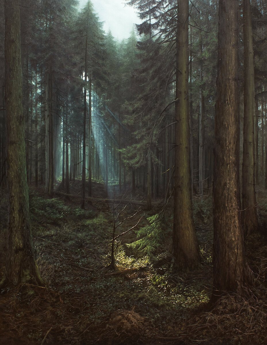 Хвойный лес арт (66 фото)
