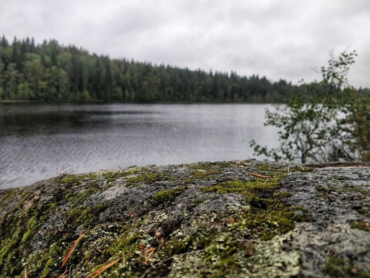 Фото Озера Черноголовка