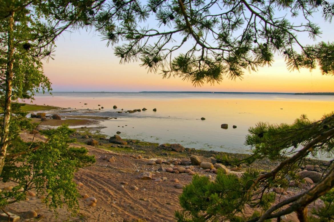 Репино финский залив (70 фото)