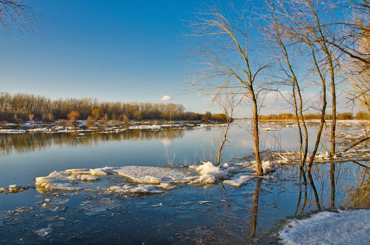 Вешние воды (68 фото)