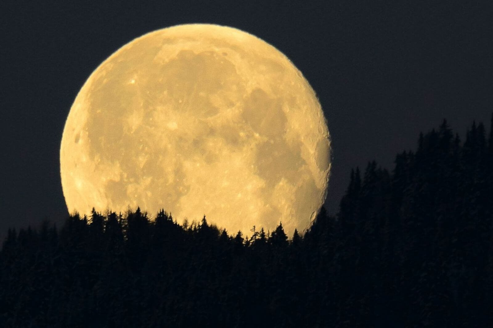Самая сильная луна. Сарос солнечного затмения. Луна. Фото Луны. Полная Луна.