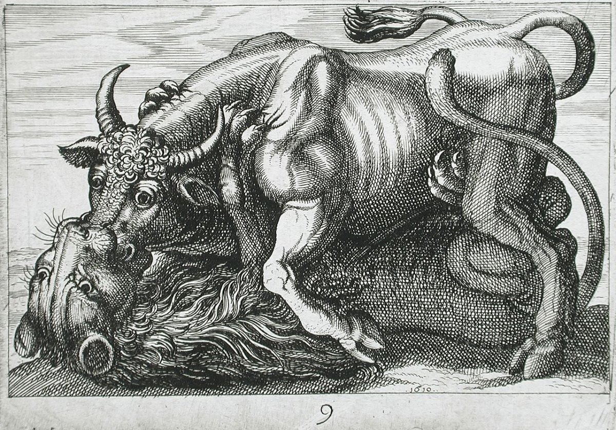 Пасифая и бык арт (71 фото)