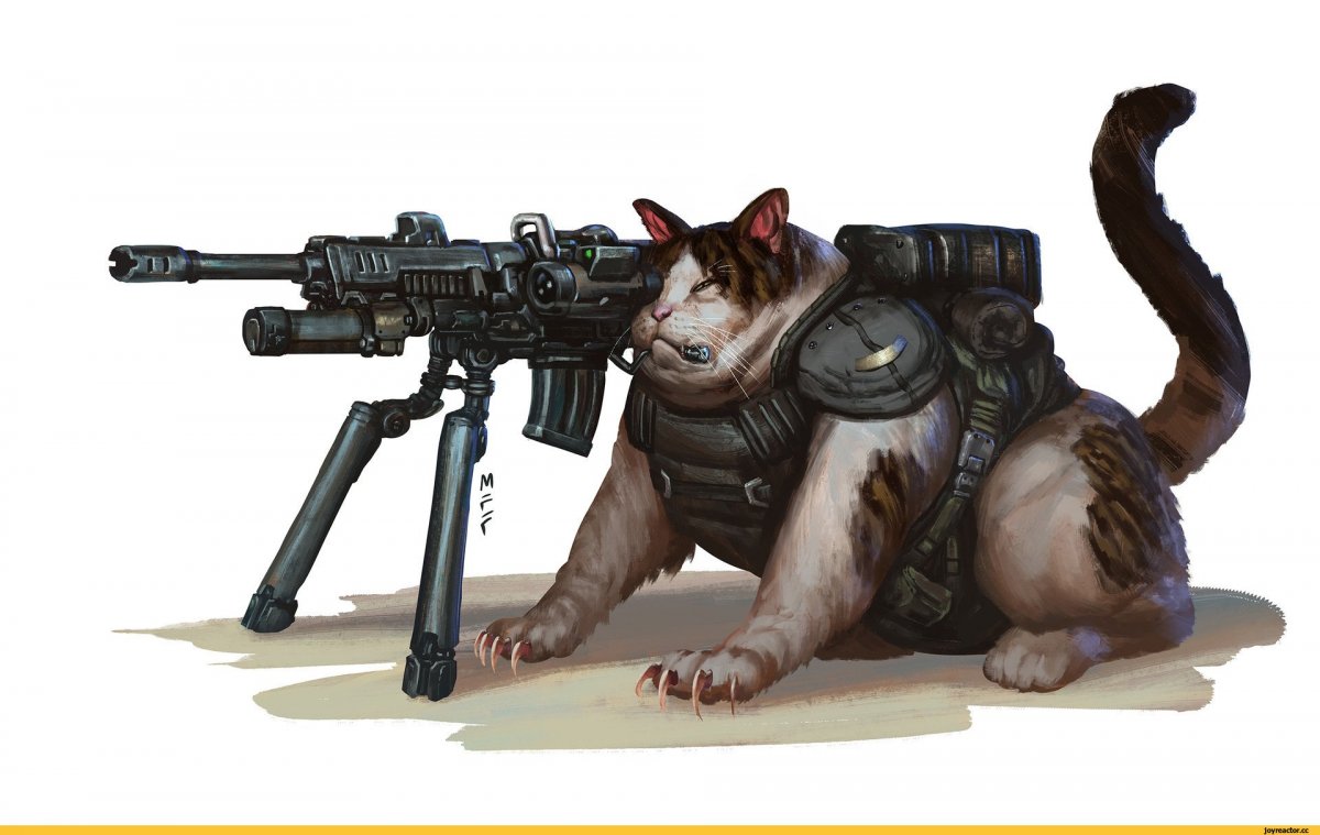 Кот с оружием арт (67 фото)