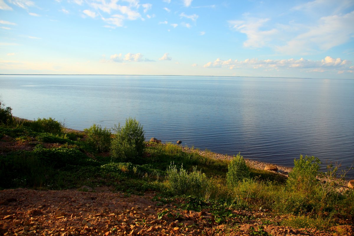 Озеро ильмень (72 фото)