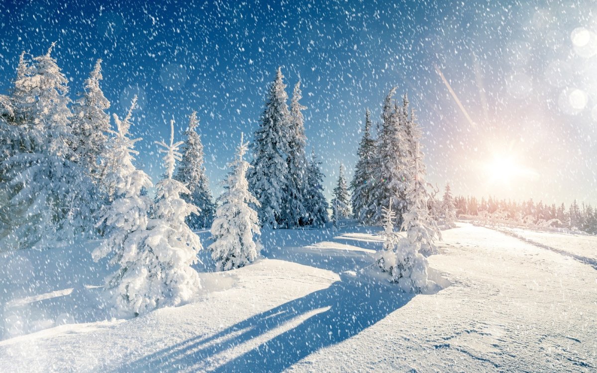 Красивые зимние новогодние пейзажи (62 фото)