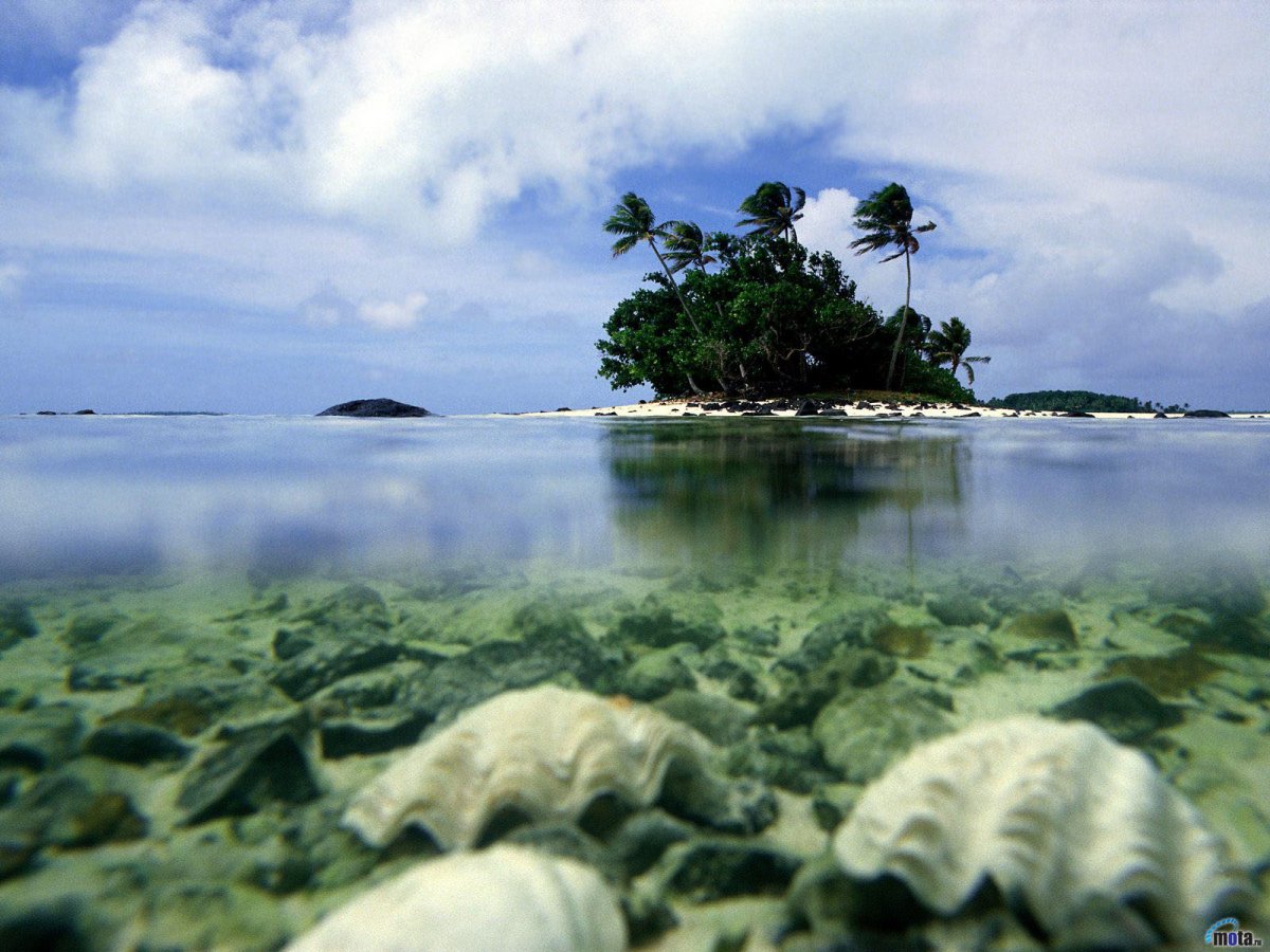 Кокосовые острова (65 фото)