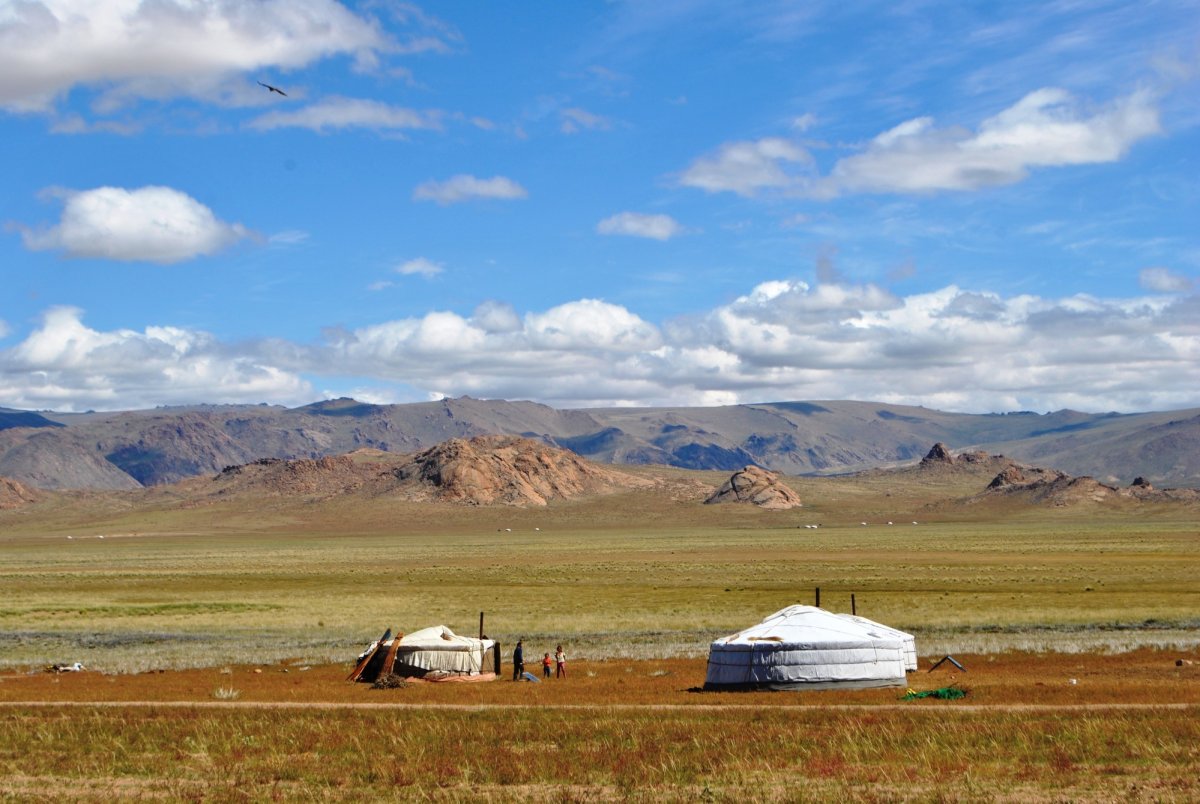 Степи монголии (64 фото)