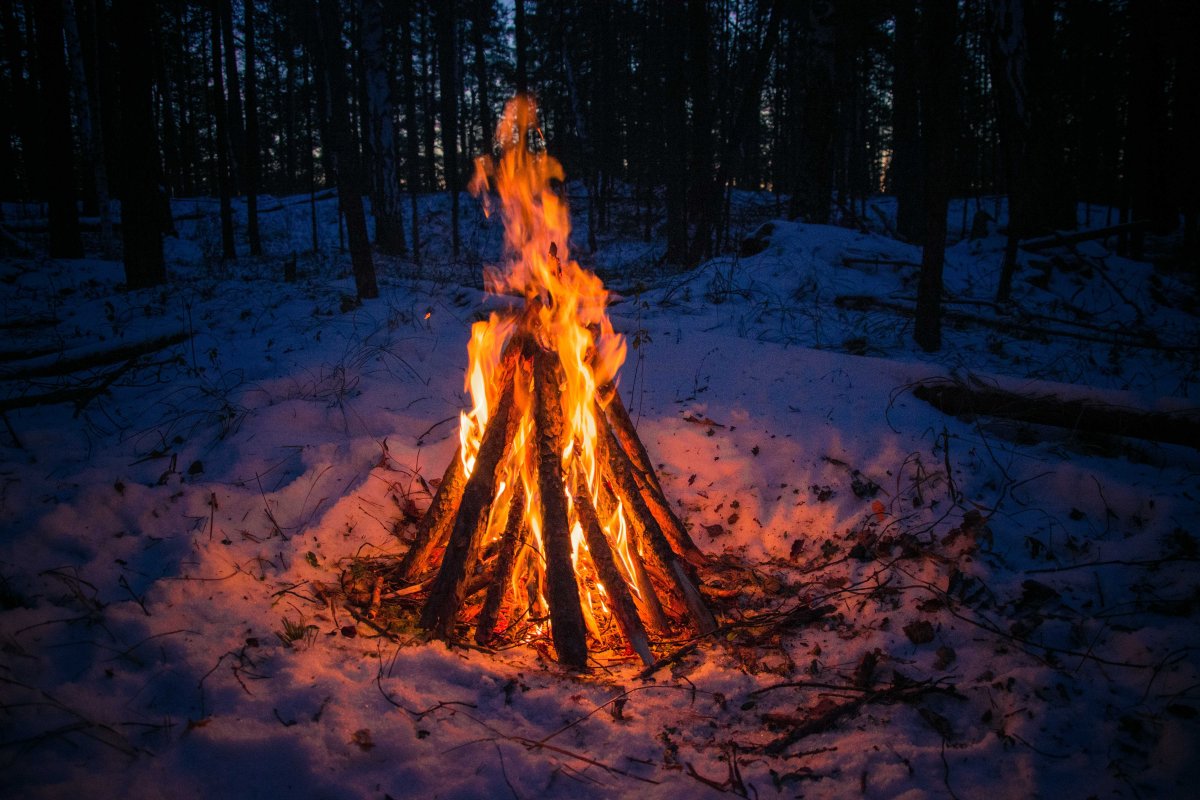 Костер зимой в лесу (69 фото)