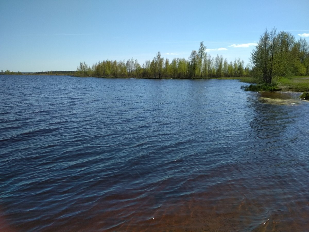 Озеро волоярви (68 фото)