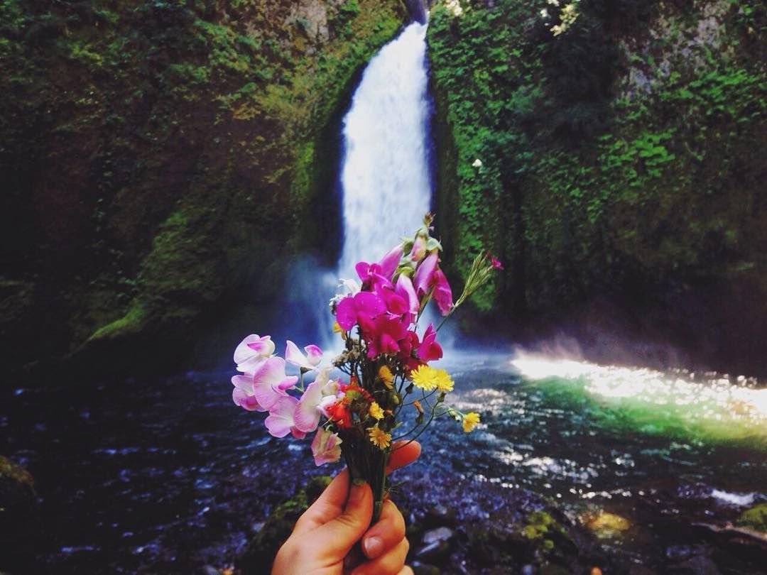 Водопад и цветы (62 фото)