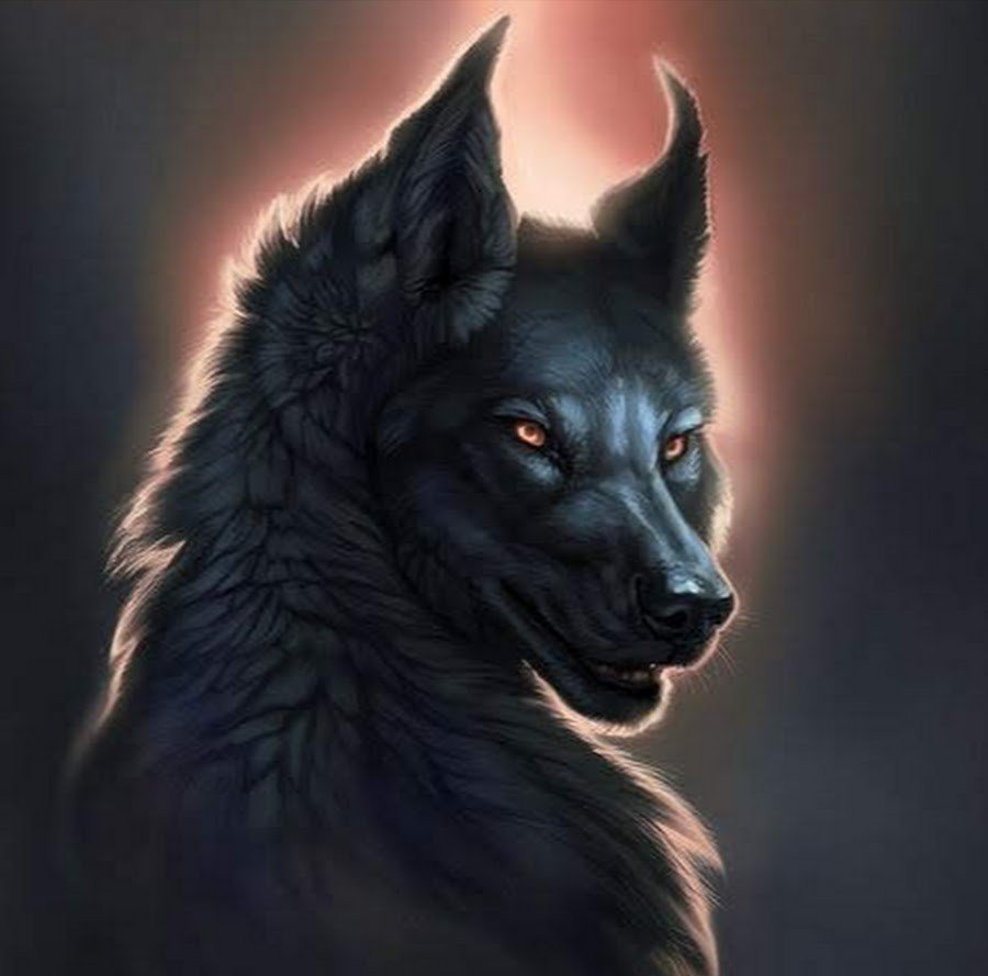 Черный волк арт (82 фото)