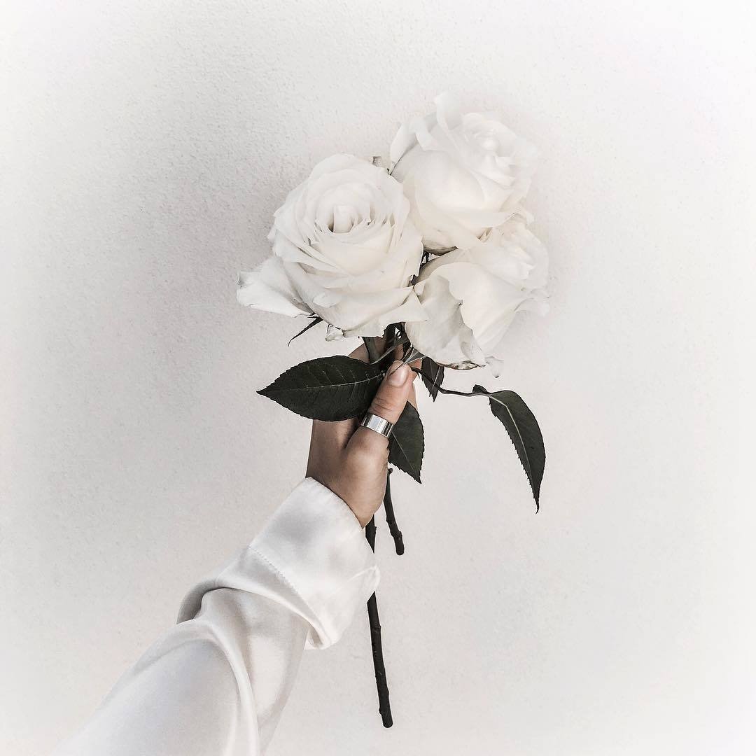 Черно белые розы (82 фото)