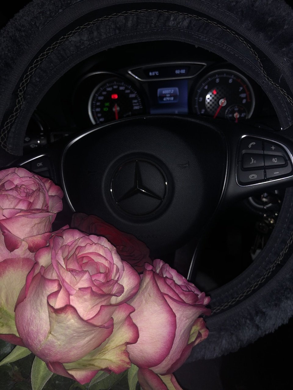 Цветы в машине зимой (83 фото)