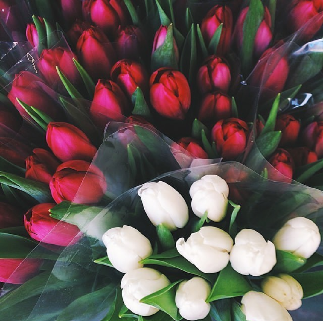Цветной букет тюльпанов (85 фото)