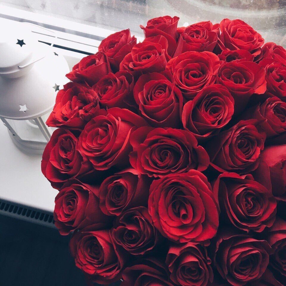 Красивый букет красных роз (88 фото)