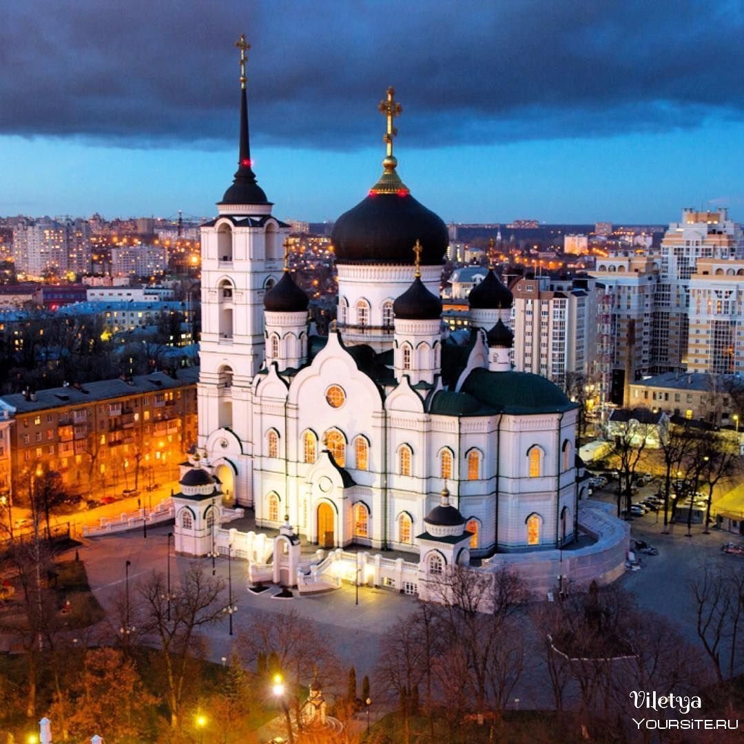 Воронежский кафедральный собор (70 фото)