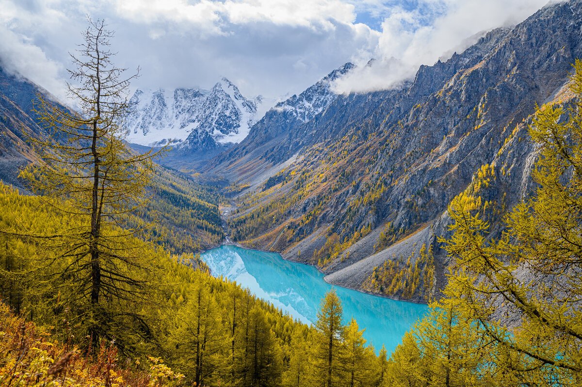 Шавлинское озеро алтай (65 фото)