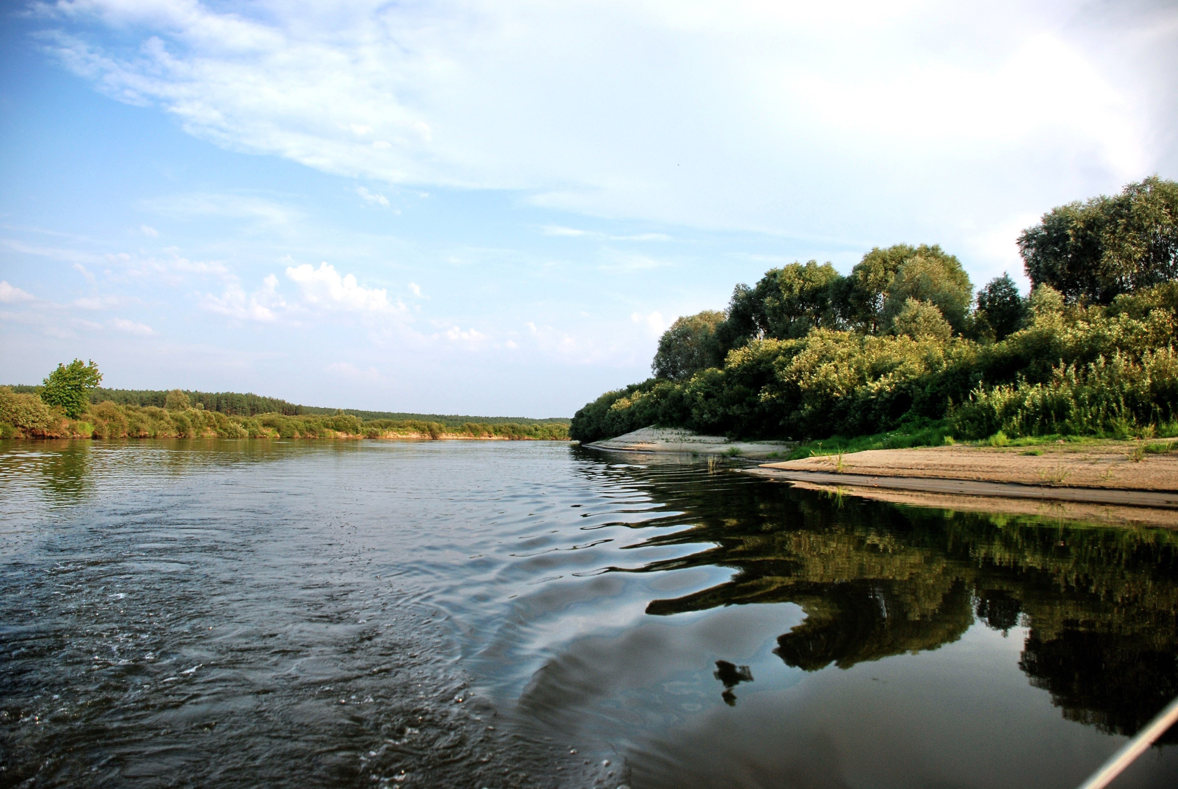 Берег десны. Река Десна Брянск. Река Десна Трубчевск. Десна (приток Днепра). Река Десна Сельцо.