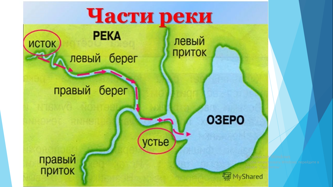 3 наре. Схема реки Исток приток Устье. Части реки схема. Устье приток Исток окружающий мир 2 класс. Начало реки.