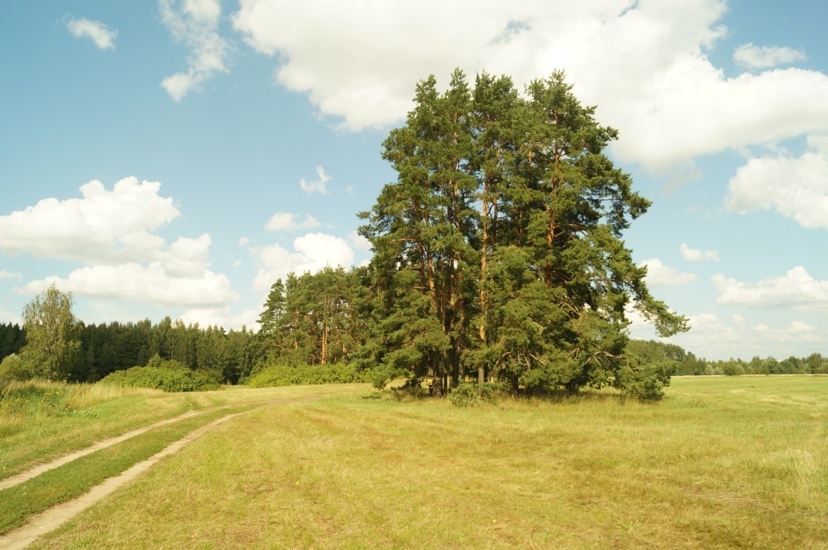 Лохин остров красногорск