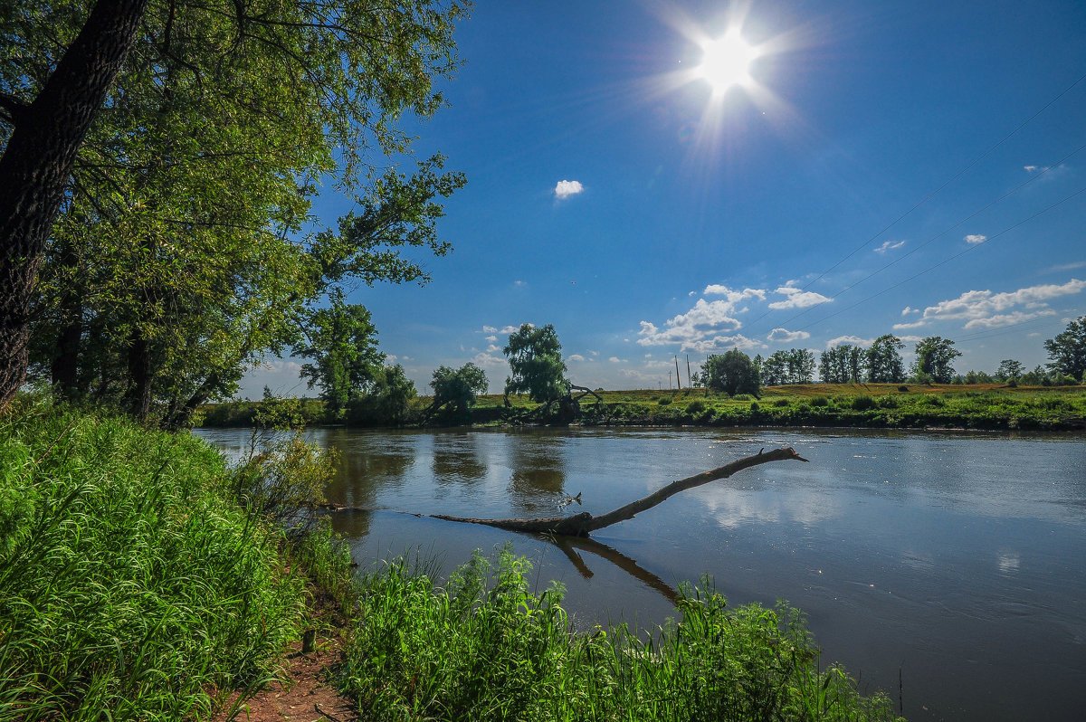 Река дема (68 фото)