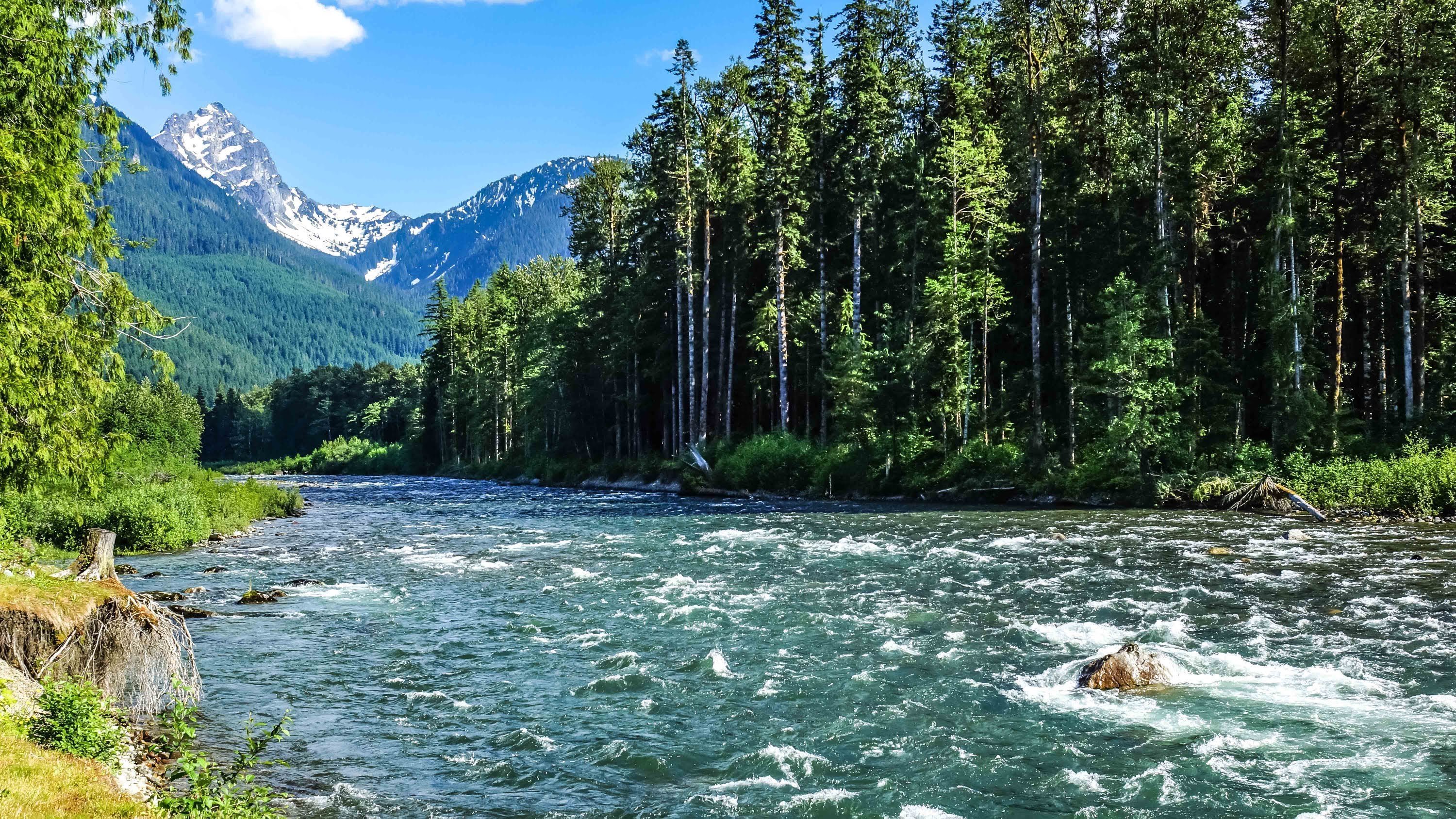 Riverflows. Горный Алтай Горная речка. Горный Алтай Тайга. Бурная Горная река.