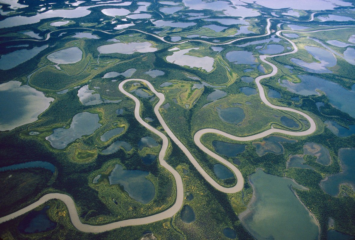 Устье реки амазонка (69 фото)