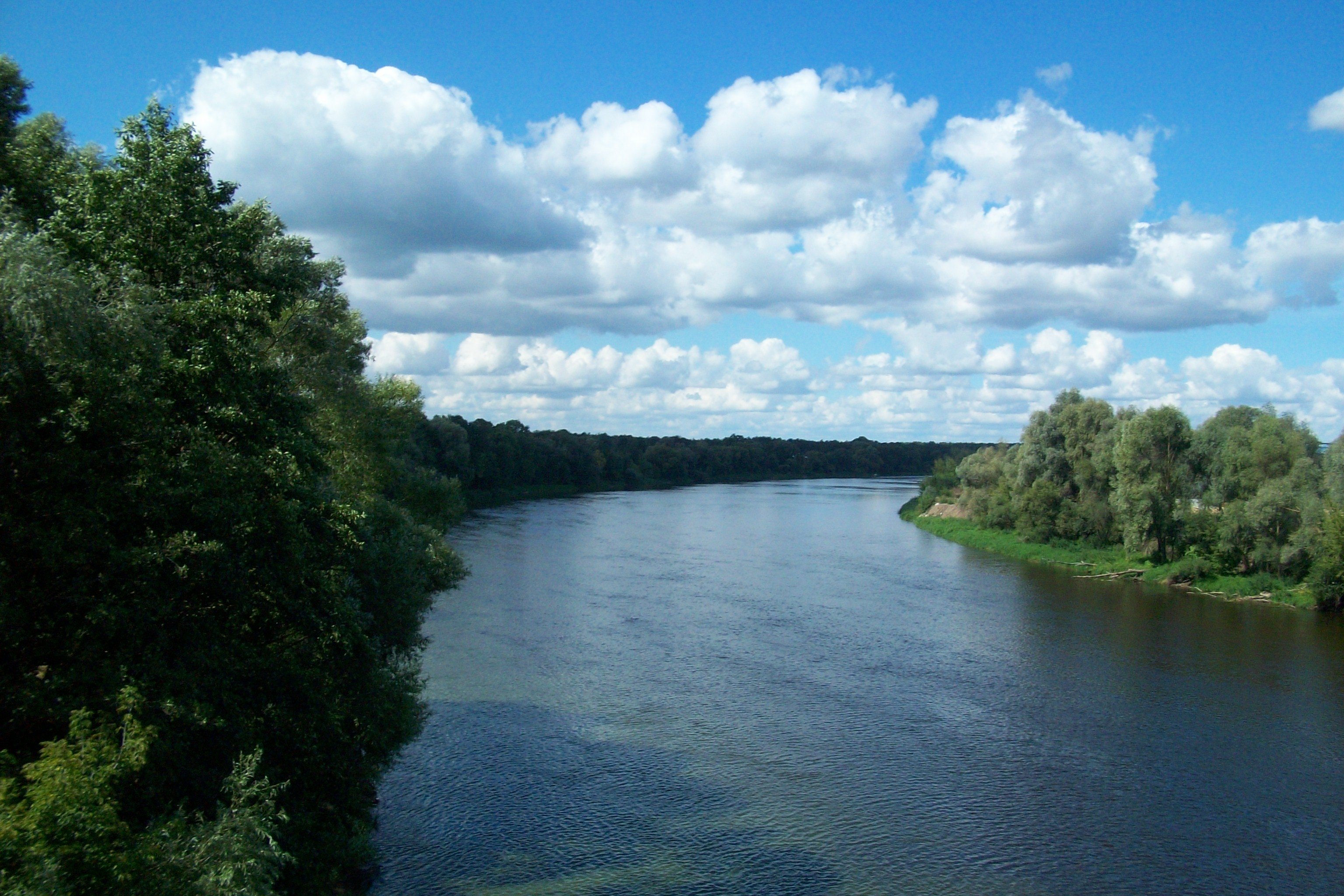 Река в белоруссии на берегу. Неман Беларусь. Река Неман РБ. Неман озеро. Река Неман Литва.