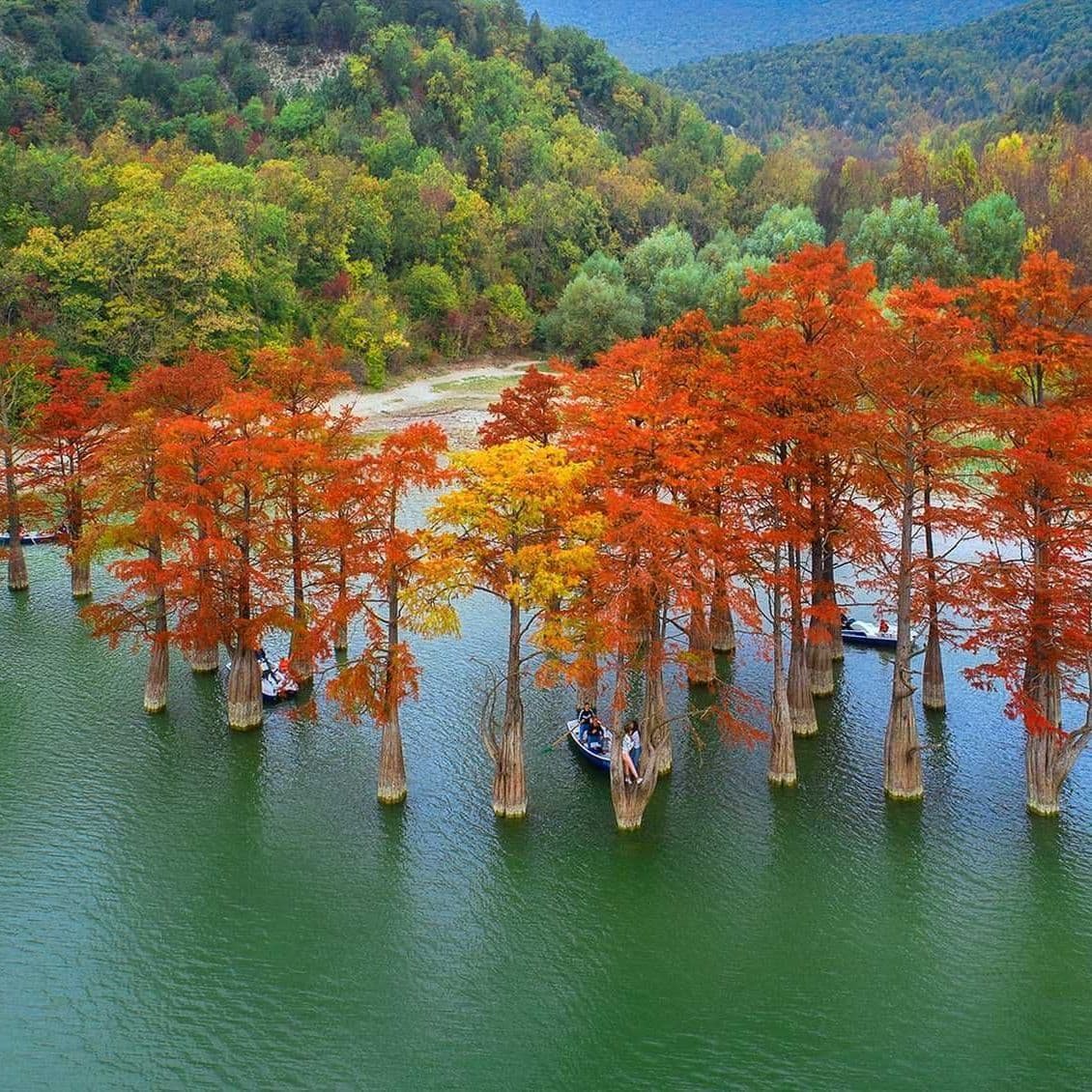 Сукко озеро с кипарисами (69 фото)