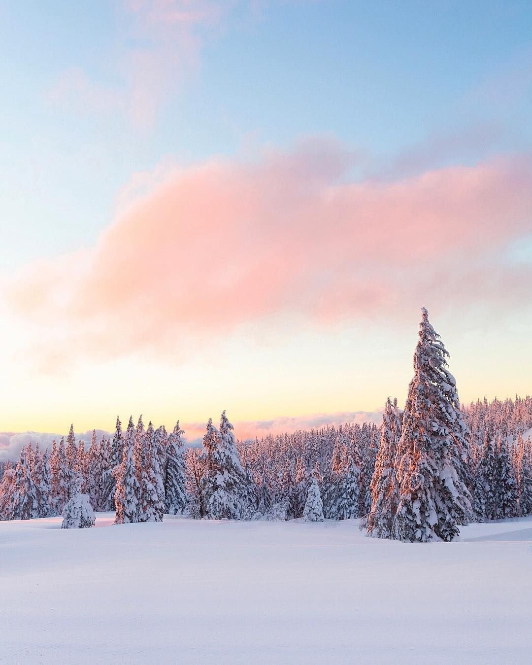 Пейзаж зимний лес (53 фото)