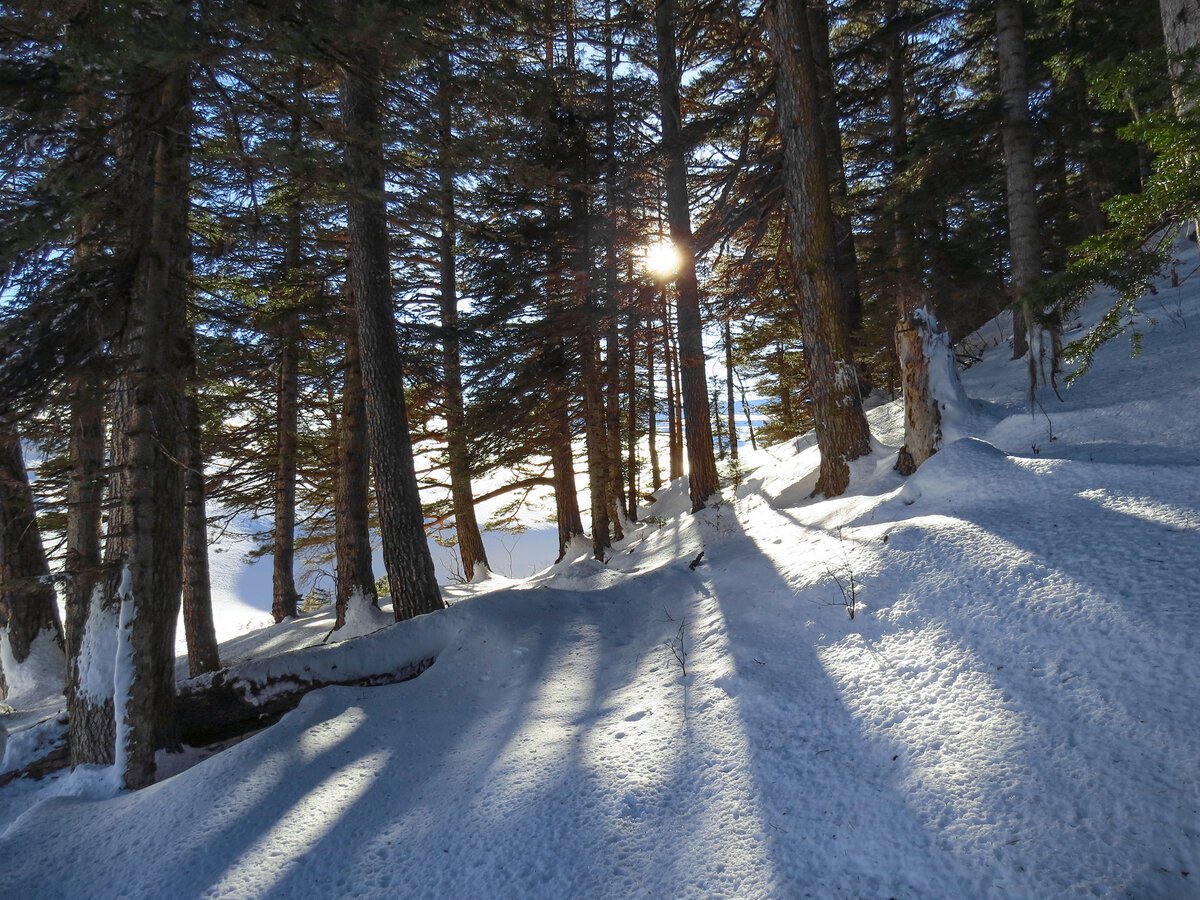 Лагонаки зимой (63 фото)