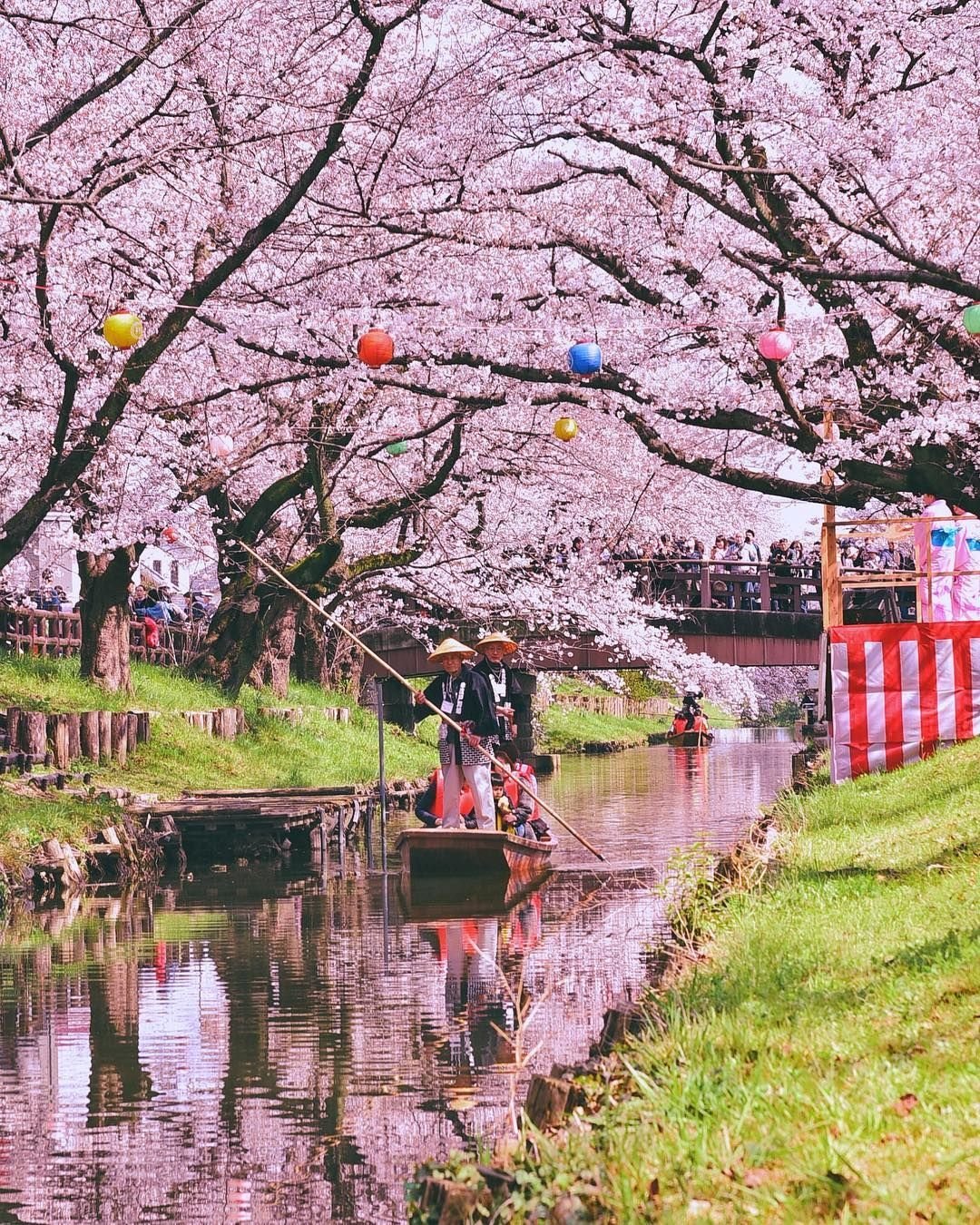 Реки японии (66 фото)