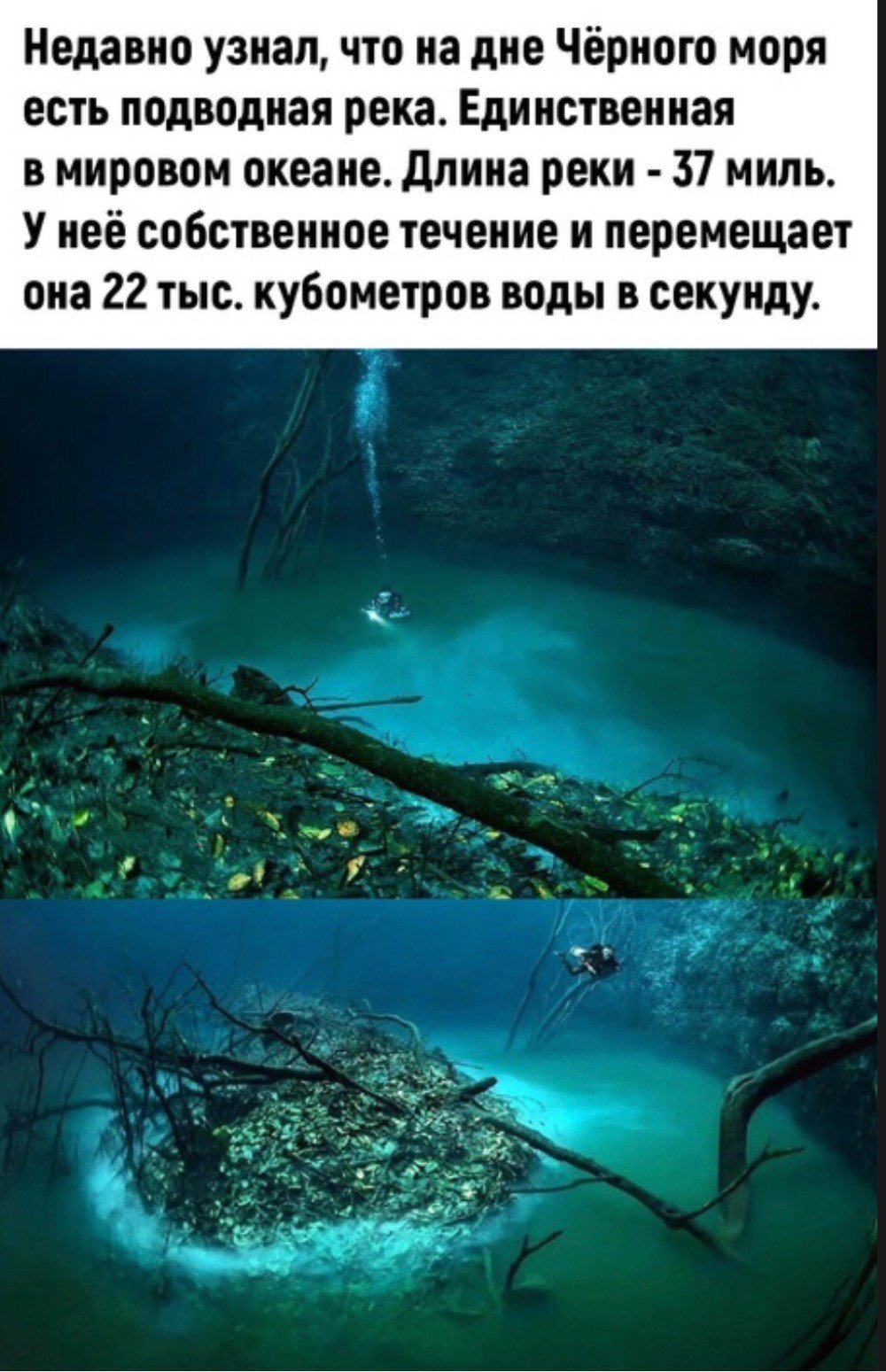 Подводная река в черном море (70 фото)