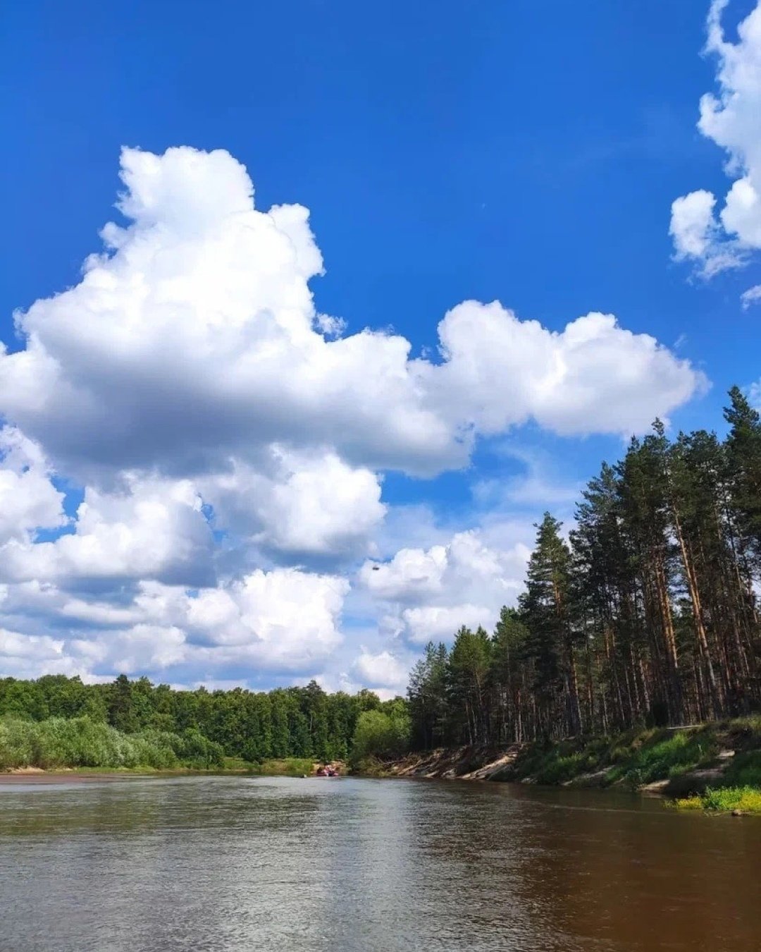 Река малая Кокшага. Большая Кокшага (река). Сплав по реке большая Кокшага Марий Эл. Река большая Кокшага фото.