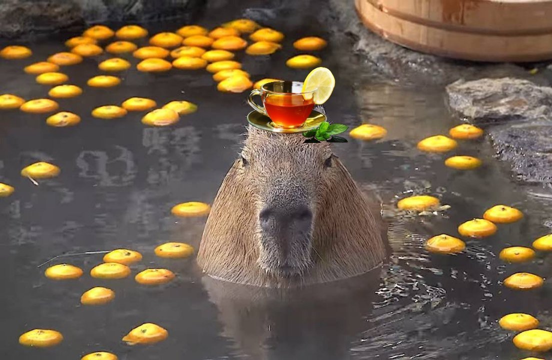 Капибара с мандарином на голове (73 фото)