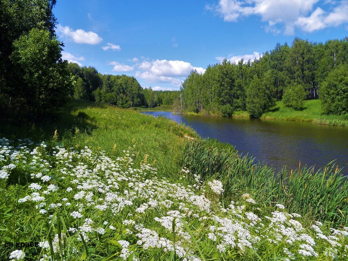 Средняя полоса (64 фото)