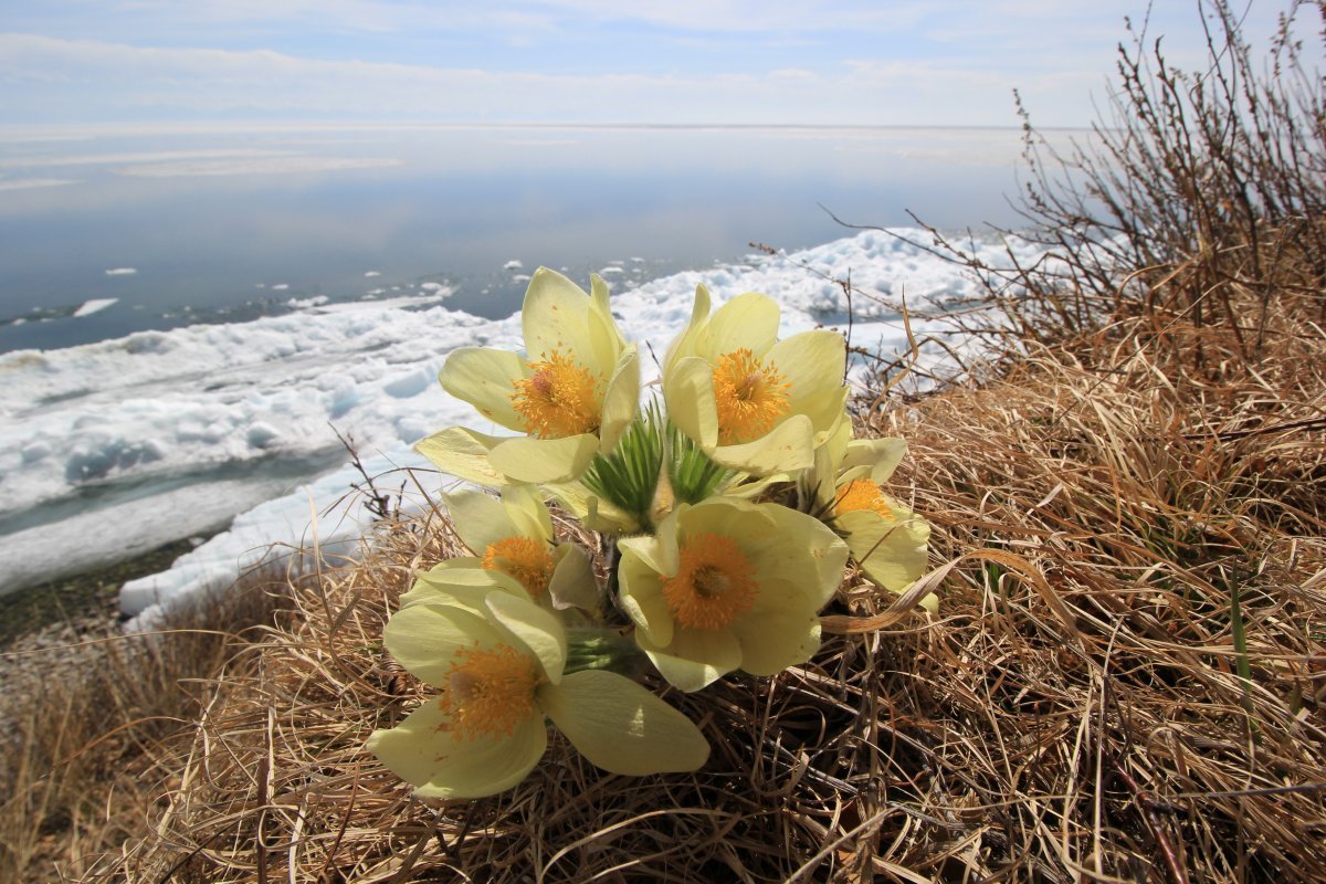 Байкал в марте (80 фото)
