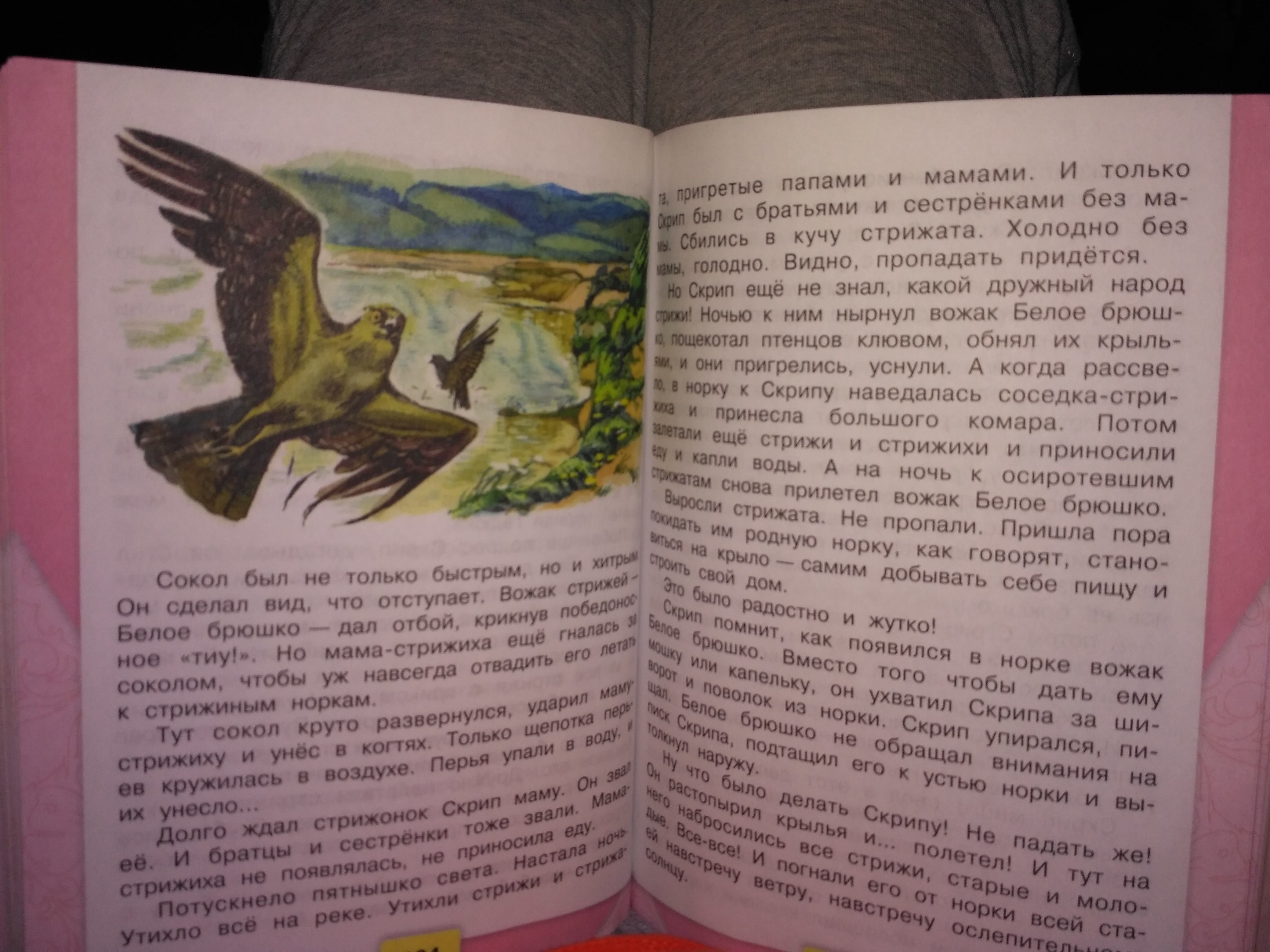 Стрижонок скрип какое настроение чувства вызвало произведение. План рассказа Стрижонок скрип. Рассказ Стрижонок скрип.