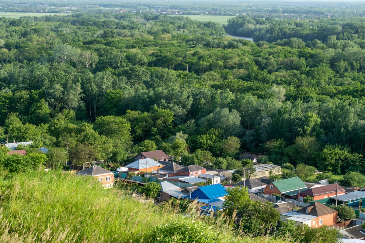 Прикубанская равнина (60 фото)