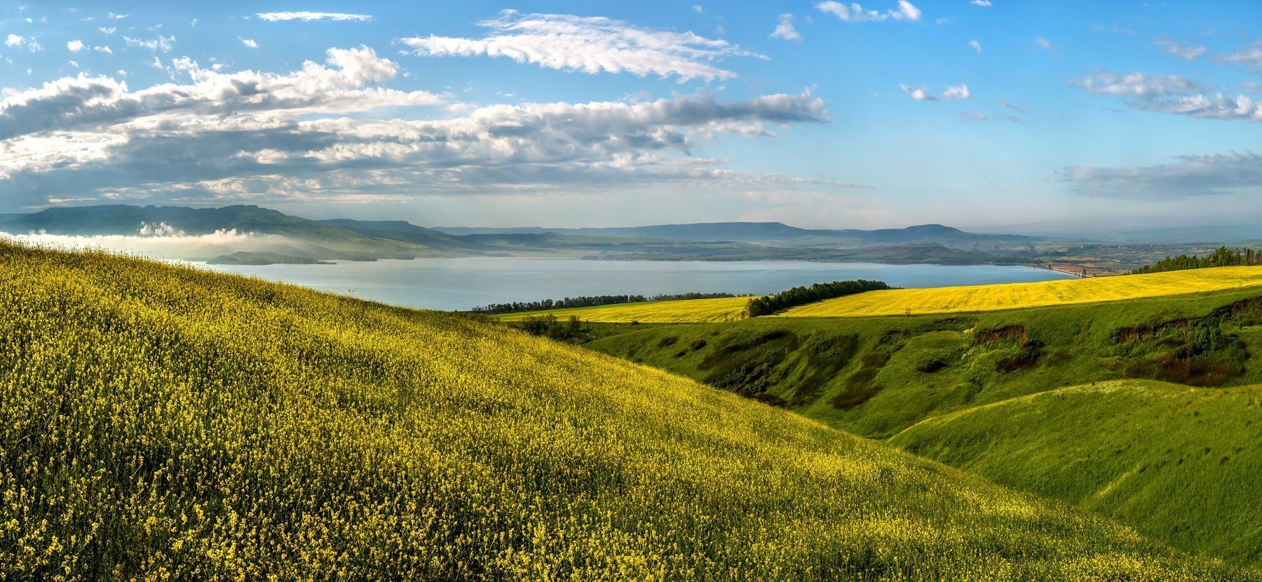 Поле краснодарского края фото. Поля Ставропольского края. Горы поле Краснодарский край. Рапсовые поля в Ставропольском крае. Кубань Ставропольский край.