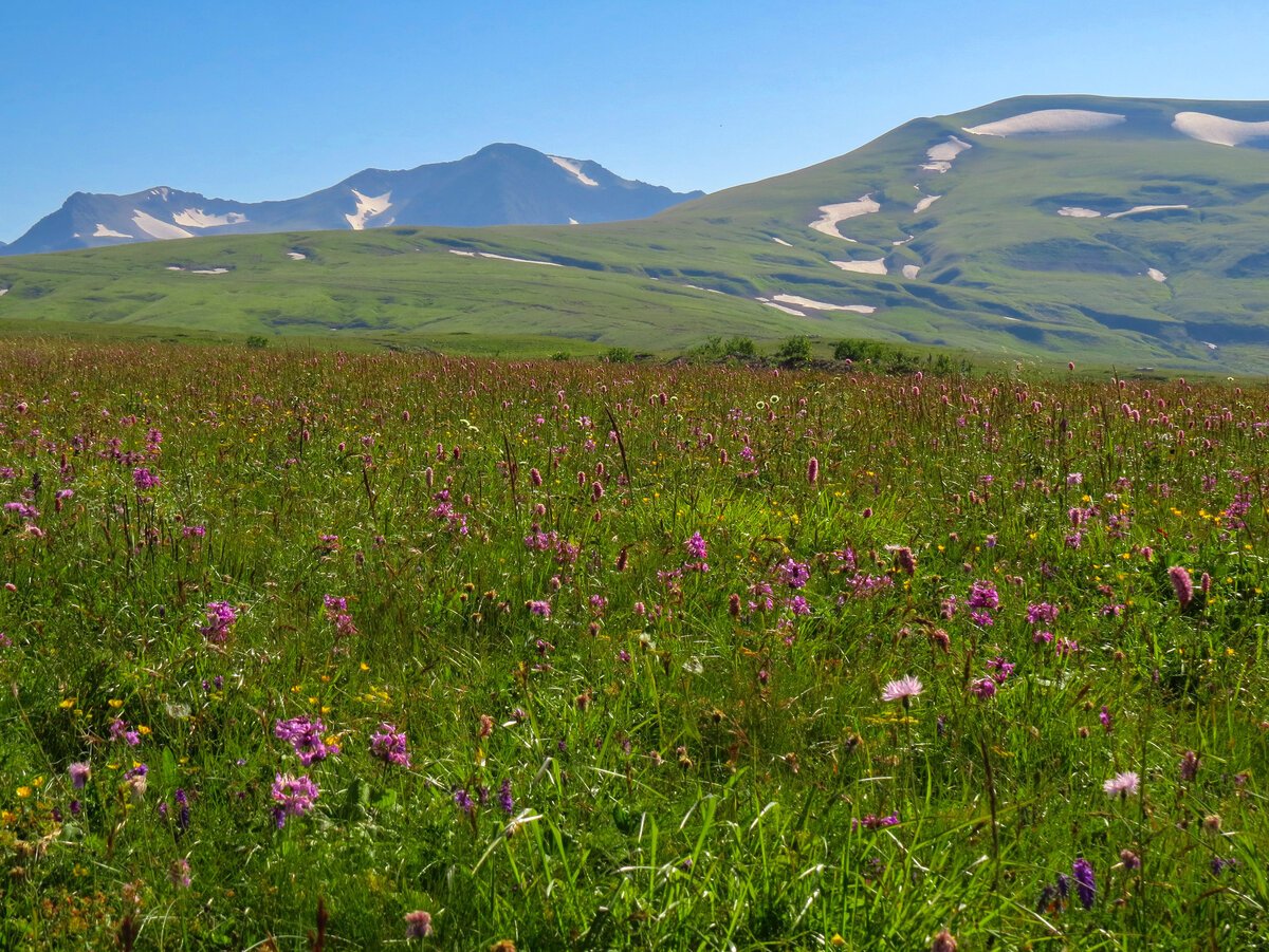 Горы Лагонаки Фото Краснодарский Край