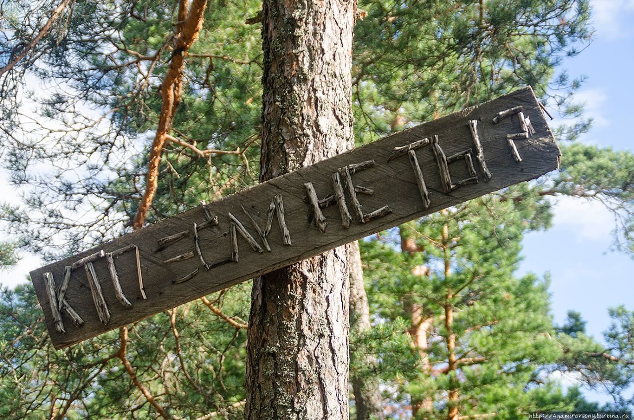 Тропа хо ши мина в ленинградской. Ястребиное озеро Карелия. Тропа Хошимина Карелия. Кузнечное тропа Хошимина. Тропа Хошимина Ленинградская область.