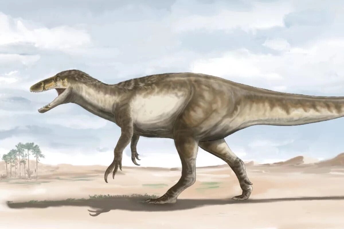Самый большой хищный динозавр (71 фото)