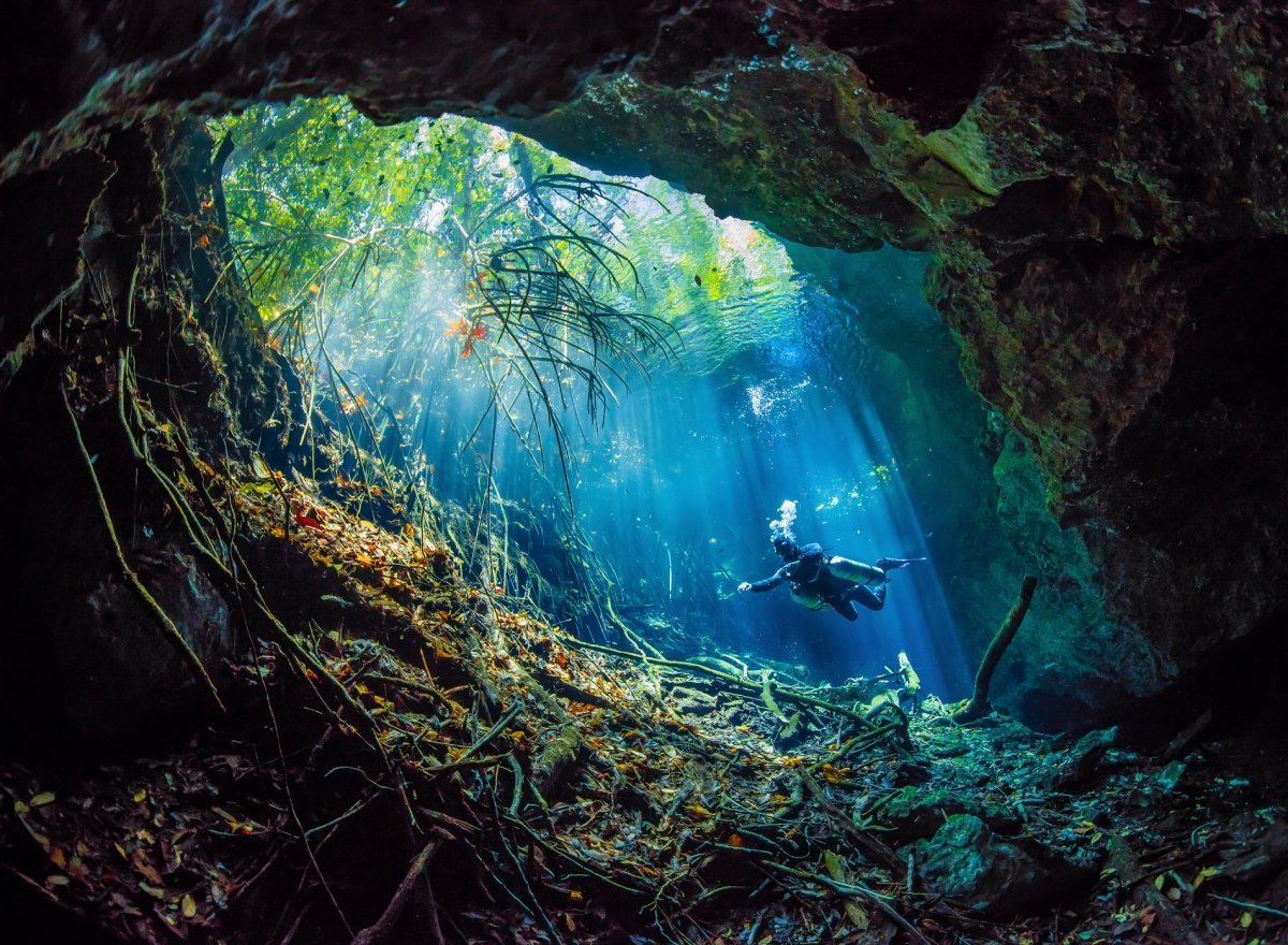Подводные пещеры (82 фото)