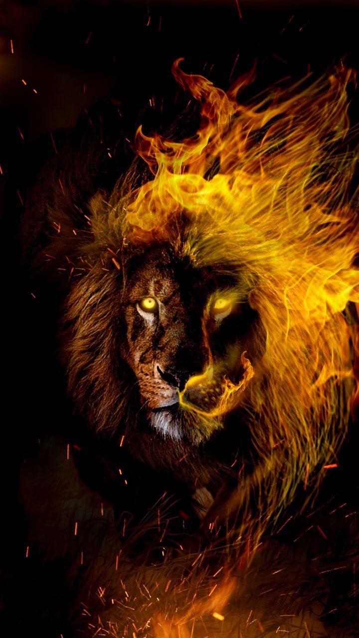 Огненный лев (77 фото)