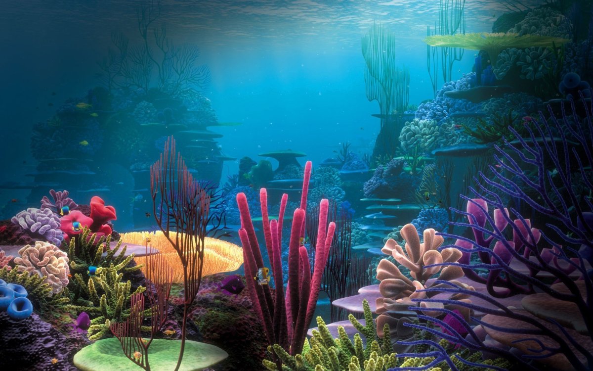 Фоны для аквариумов море (65 фото)
