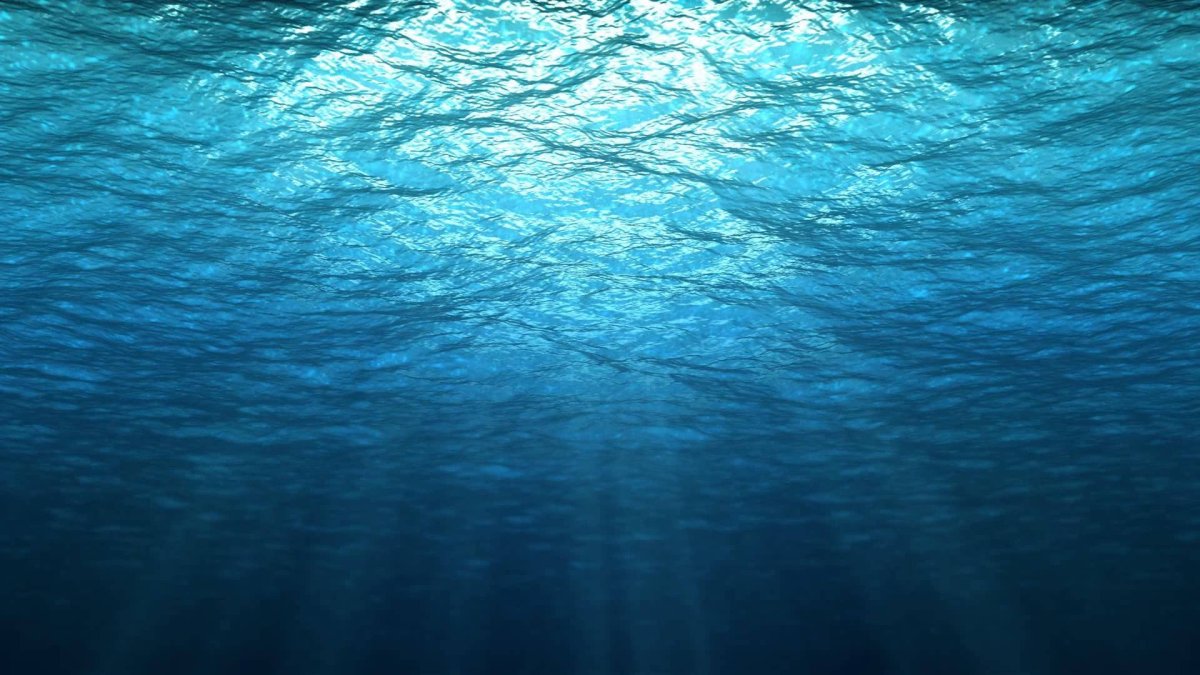 Фон море под водой (71 фото)