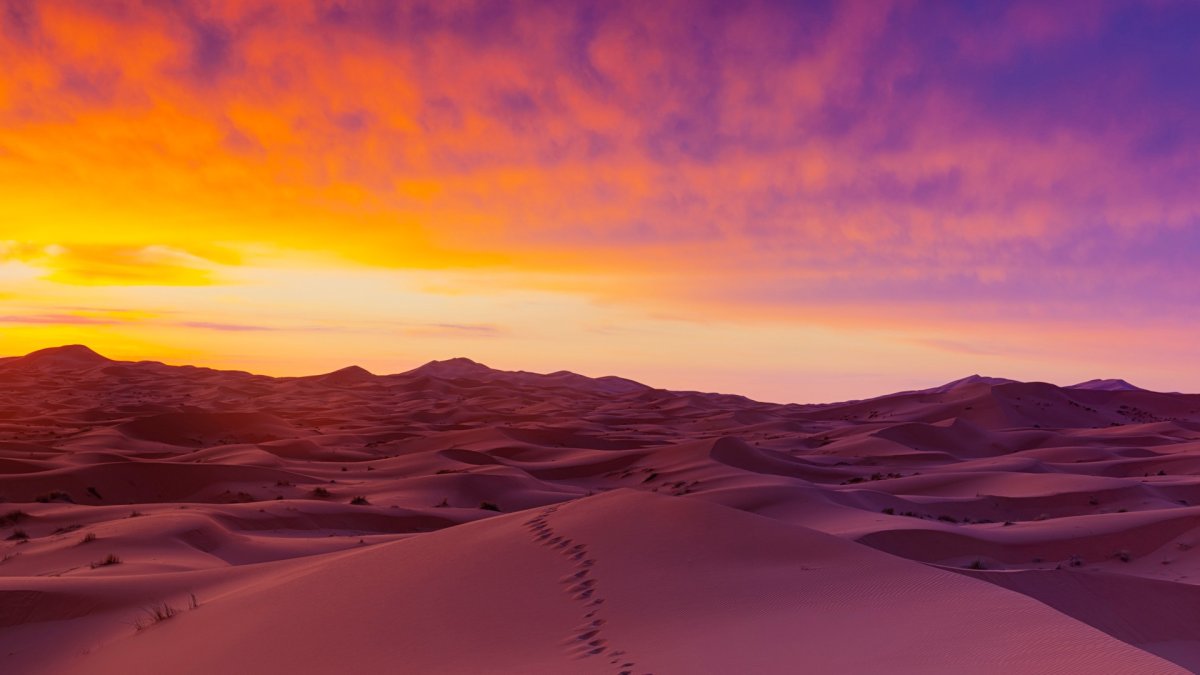 Фон пустыня (71 фото)