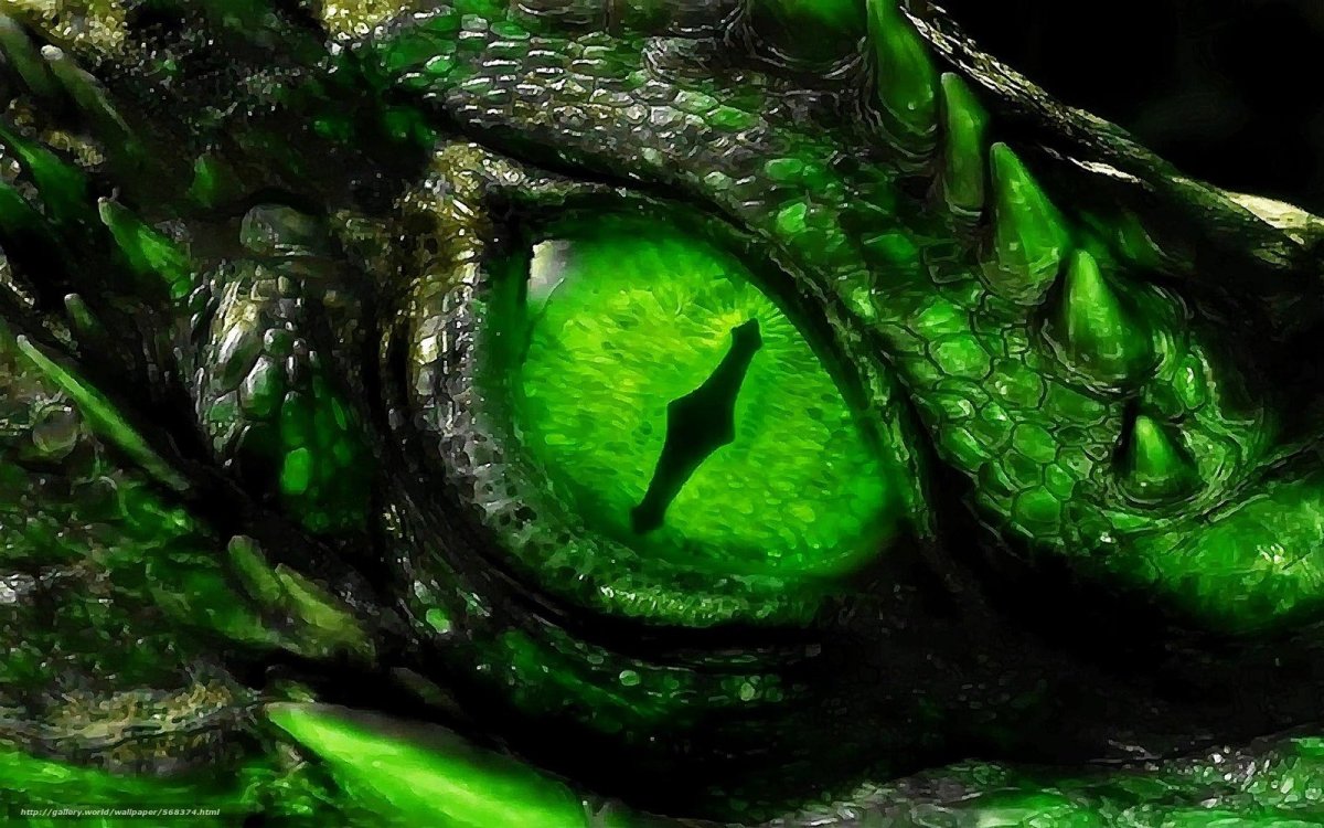 Зеленый дракон арт (79 фото)