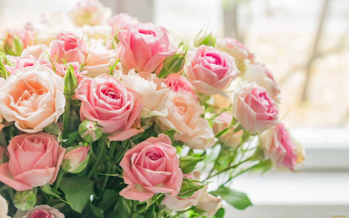 Шикарный букет роз с днем рождения (80 фото)